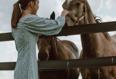 Alimentação de Cavalos