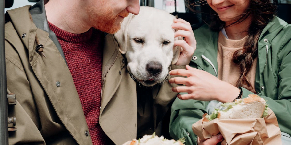 Alimentação Natural Para Pet O Guia Completo