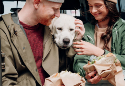 Alimentação Natural Para Pet O Guia Completo