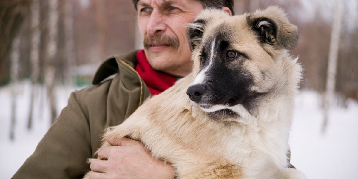 Cachorro O Melhor Amigo do Homem e o Companheiro Ideal