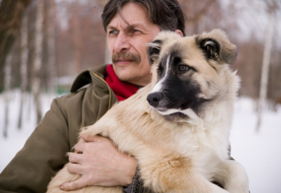 Cachorro O Melhor Amigo do Homem e o Companheiro Ideal