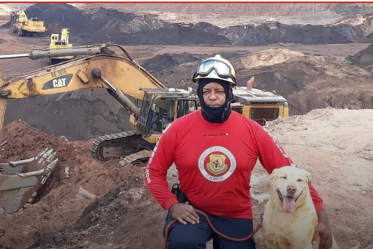 Thor: O Herói de Quatro Patas que Deixou Marcas na História