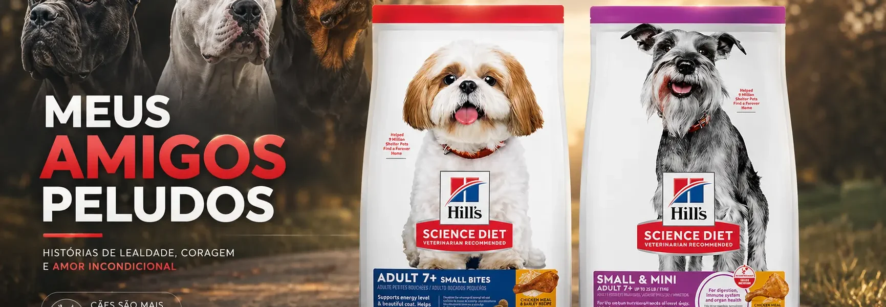 Qual a Melhor Ração para Cachorro Idoso? No mundo do cuidado pet, uma questão frequente que muitos donos de cães enfrentam é