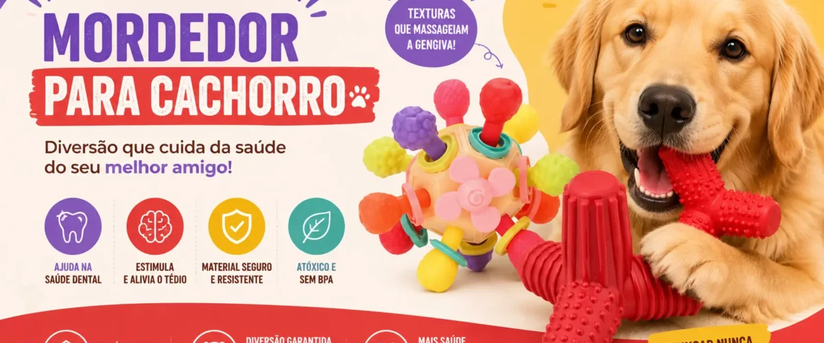 Caes que destroem a casa