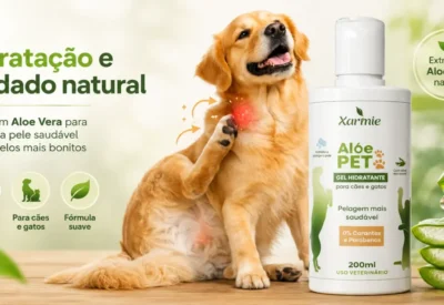 Meu cachorro não para de coçar