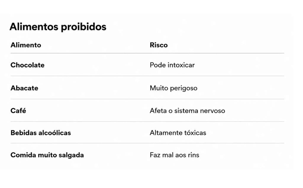 O QUE E QUE O PAPAGAIO PODE COMERR