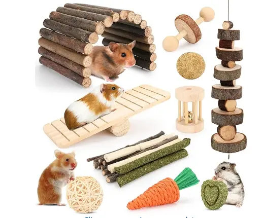 Quais as Principais Especies de Hamster