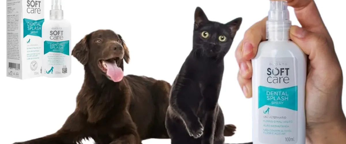 Cachorro com mau hálito