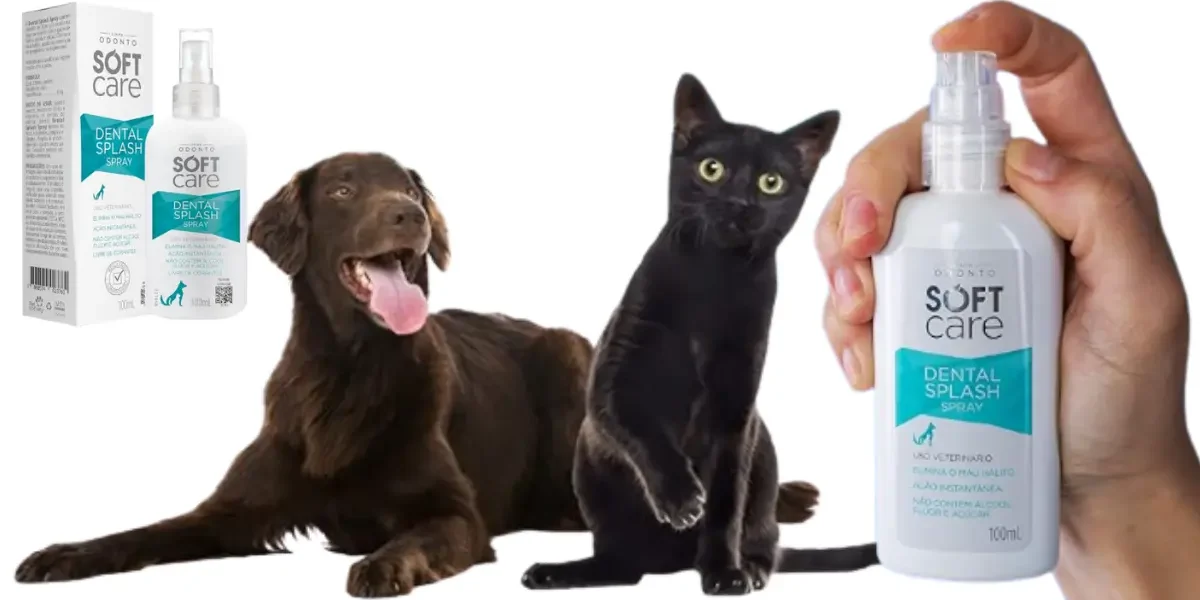 Cachorro com mau hálito
