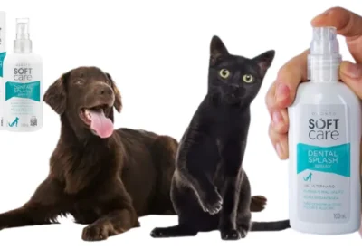 Cachorro com mau hálito