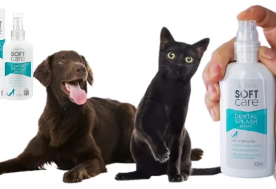 Cachorro com mau hálito